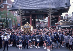 asakusa sanjya-fes