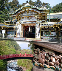 nikko all area image